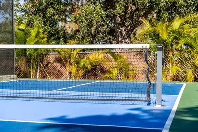 Your own private pickleball court awaits! Enjoy a professionally lined playing surface, net in place, and lush tropical landscaping for added privacy.