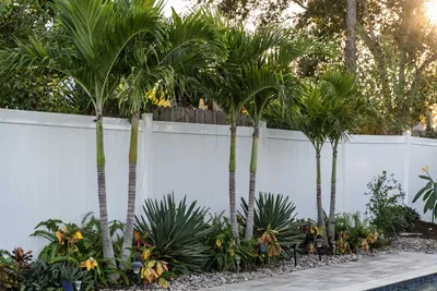 Lush tropical landscaping with palm trees and vibrant greenery creates a serene backdrop by the pool. A private paradise that enhances the home’s relaxing outdoor vibe.