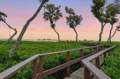 Peaceful boardwalk through vibrant mangroves with stunning sunset views over the water. A perfect place to unwind and enjoy the natural beauty of the coast.