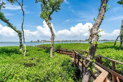 Peaceful boardwalk winding through lush mangroves with stunning water views. A perfect spot for morning strolls, nature watching, and soaking in the tranquil beauty of the Gulf Coast.