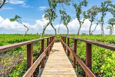 Beautiful boardwalk surrounded by lush greenery leading to the water’s edge. Perfect for peaceful walks, nature watching, and soaking up serene coastal views.