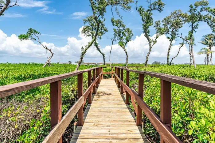 Beautiful boardwalk surrounded by lush greenery leading to the water’s edge. Perfect for peaceful walks, nature watching, and soaking up serene coastal views.