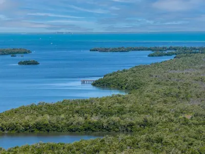Explore the breathtaking natural beauty surrounding Anna Maria Island. Enjoy peaceful coastal views, nearby nature preserves, and unforgettable outdoor adventures just minutes from your tropical waterfront getaway!