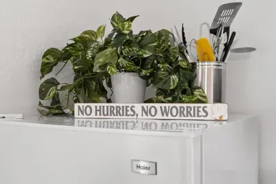 Fun decor and utensils.