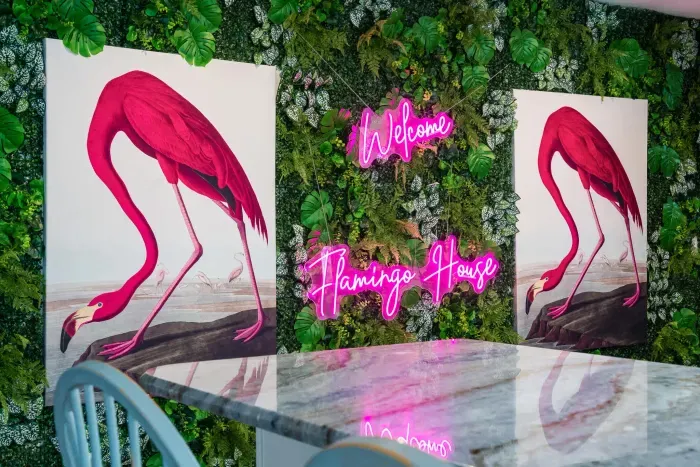 Step into your tropical escape with this unforgettable welcome wall! Featuring lush greenery, twin vibrant flamingo prints and a glowing pink neon sign that sets the tone for your stay this signature spot is perfect for photo ops and first impression