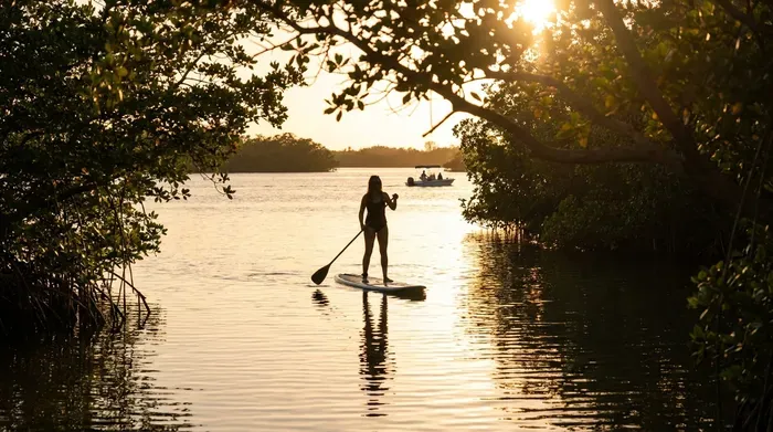 Paddleboarding through mangrove tunnels at sunset