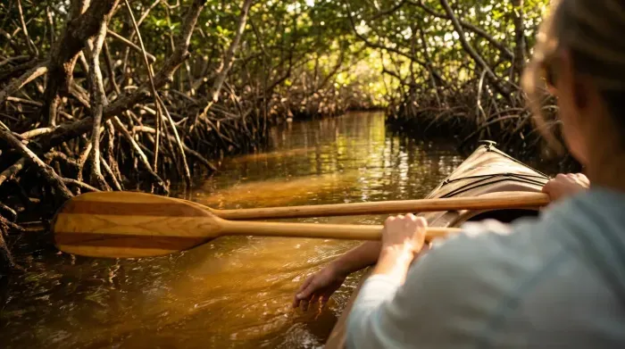 Kayaking through mangrove tunnels at sunset