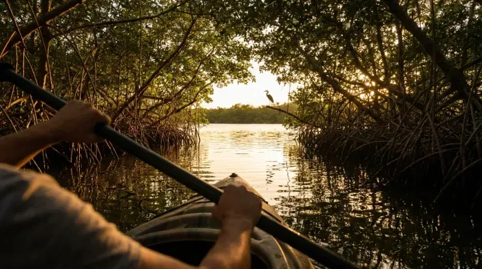 Image for Outdoor Adventures & Cultural Experiences — Warm natural Florida light, Sarasota outdoor activities, kayaking, boating, local arts, authentic and warm tone, no staged stock models