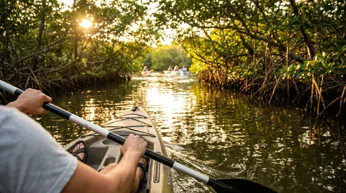 Kayaking through a sun-dappled mangrove forest
