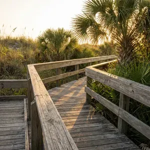 Boardwalk with palm trees leading to a sunny beach