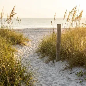 Sandy path through sea oats to the calm Gulf Coast