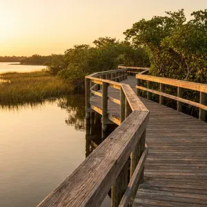 Wooden boardwalk winds through Florida mangroves at sunset