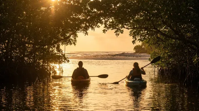 Kayaking through mangroves at sunset