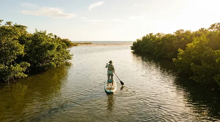 Person paddleboarding down a narrow waterway lined with trees