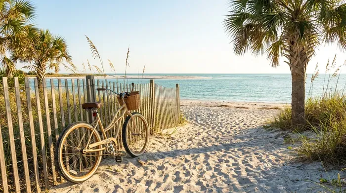 Bike on a sandy beach by the ocean and palm trees
