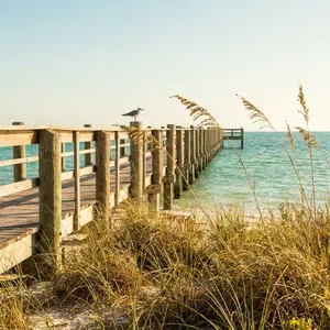 Wooden pier and seagrass on a beach at Anna Maria Island
