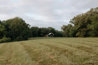 Your tiny cabin is nestled in the picturesque meadow. 