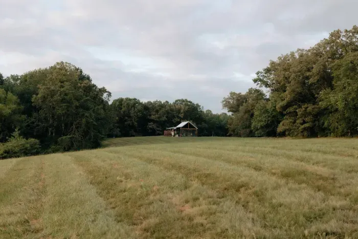 Your tiny cabin is nestled in the picturesque meadow. 