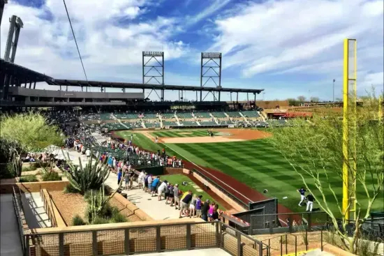 Watch your team at a spring training game.