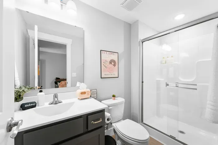 Game / Theater Room bathroom