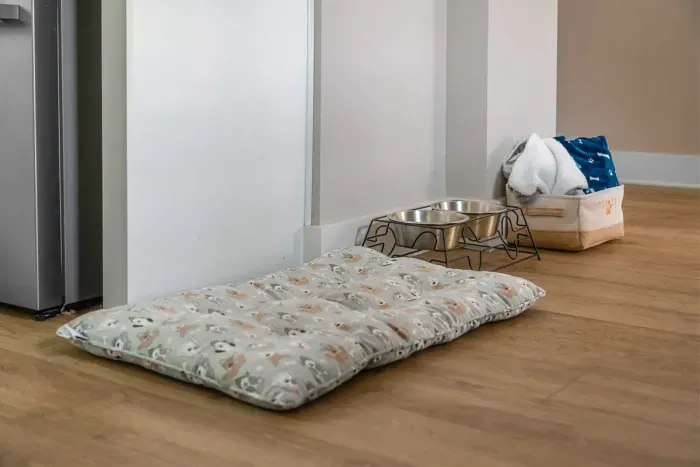 A dog bed, dishes and blankets are available for your fur babies