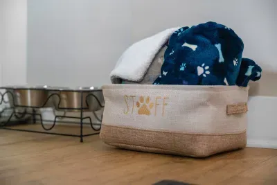 Please use the pet blankets on the furniture
