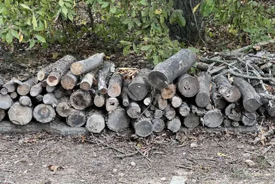 We provide the firewood for the fire pit free of charge.