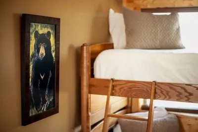 You didn't think we'd forget to show you why you're sleeping in "Bearadise" did ya? Sweet Dreams! Don't worry he doesn't bite!