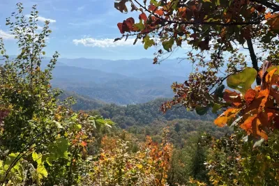 Fall Foliage in the GSMNP