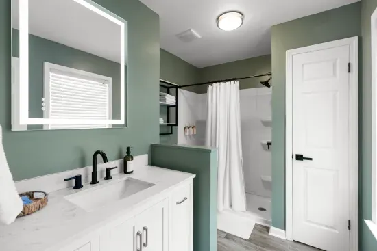 Guest Bath With Lighted Mirror
