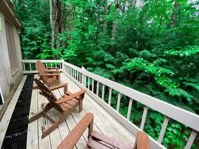 F4 Vista View - image 13 of 63