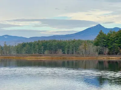 211 McGrew - image 37 of 45