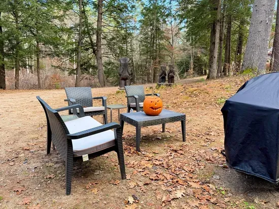 Winter Cabin- Pet Friendly, Fireplace, Near Skiing - image 50 of 52