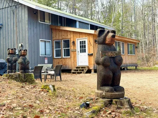 Winter Cabin- Pet Friendly, Fireplace, Near Skiing - image 1 of 52