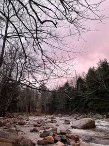 48 Rivers Bend Bartlett - image 31 of 34