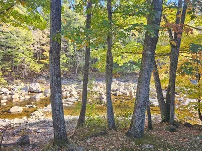 48 Rivers Bend Bartlett - image 29 of 34