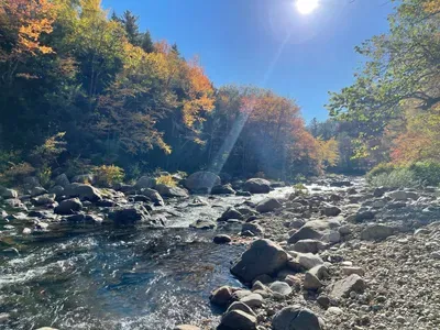 48 Rivers Bend Bartlett - image 25 of 34