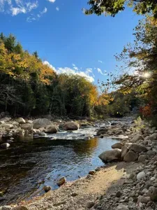 48 Rivers Bend Bartlett - image 24 of 34