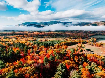 15 Alpstrausse - image 12 of 69