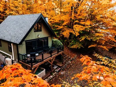 15 Alpstrausse - image 31 of 69