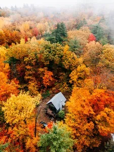 Aerial view of the house, surrounded by trees