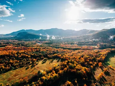 15 Alpstrausse - image 13 of 69