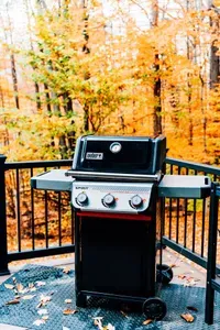 15 Alpstrausse - image 10 of 69