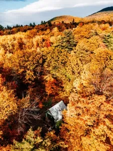 Aerial view of the house, surrounded by trees