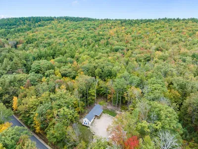 Peaceful woodland retreat featuring a hammock deck, spacious yard, and cozy cabin surrounded by nature — ideal for unwinding and enjoying the outdoors.