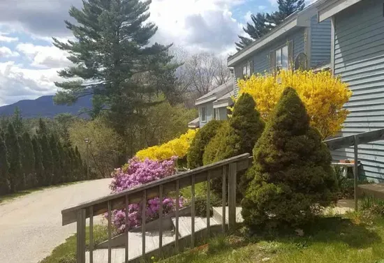 3 BR Condo With Fireplace, Pool, Spacious! - image 7 of 34