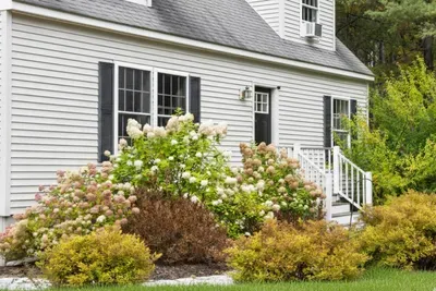 Inviting home with a beautiful, open yard.