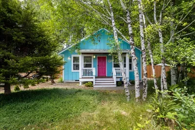 Welcome to The Razor Clam, a vibrant and dog-friendly cottage nestled among peaceful trees in Pacific Beach, WA.