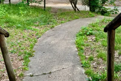 View from front porch to lake