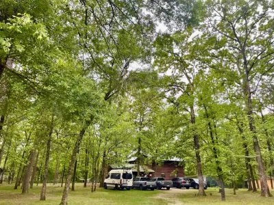 We have lots of parking space. And lots of tree cover too!